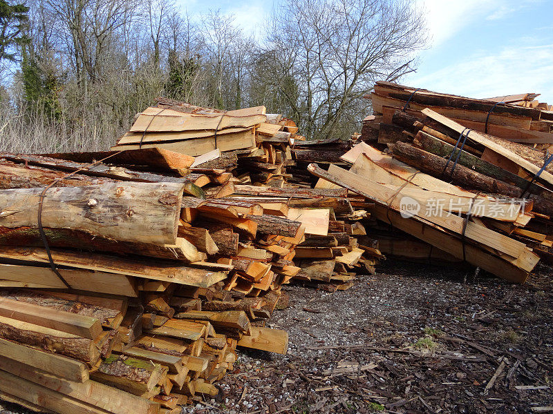 劈开的原木在木材场/木材场成堆的软木图像